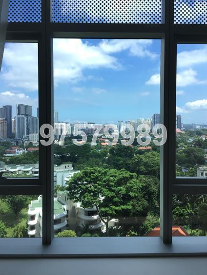 Gramercy Park (D10), Condominium #155424952